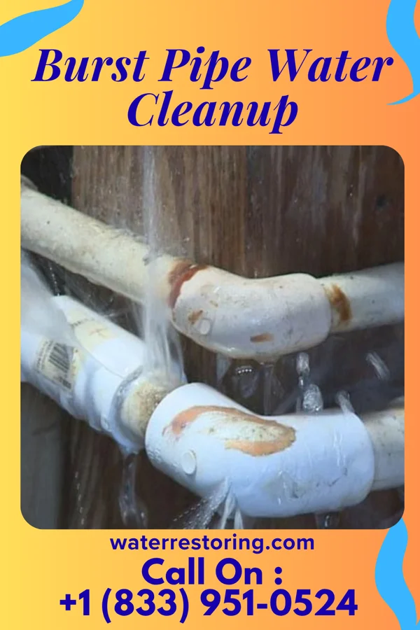 Burst Pipe Water Cleanup in Francisville, KY