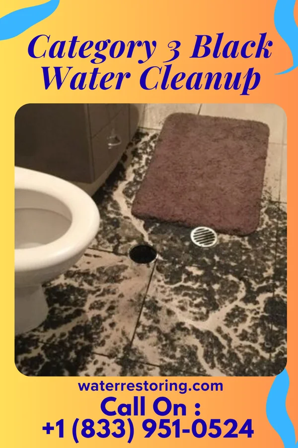 Category 3 Black Water Cleanup in Francisville, KY