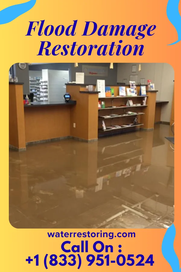 Flood Damage Restoration in Francisville, KY