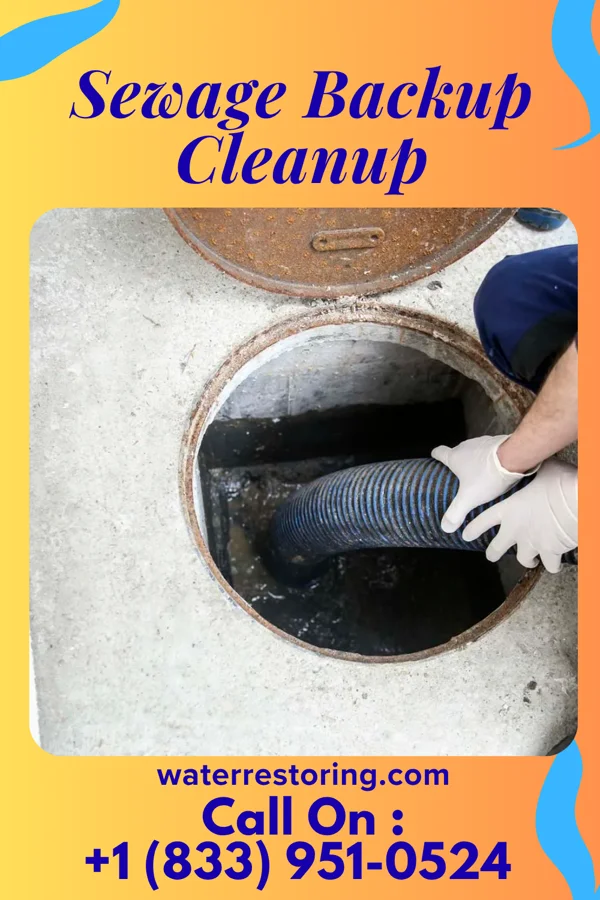 Sewage Backup Cleanup in Francisville, KY